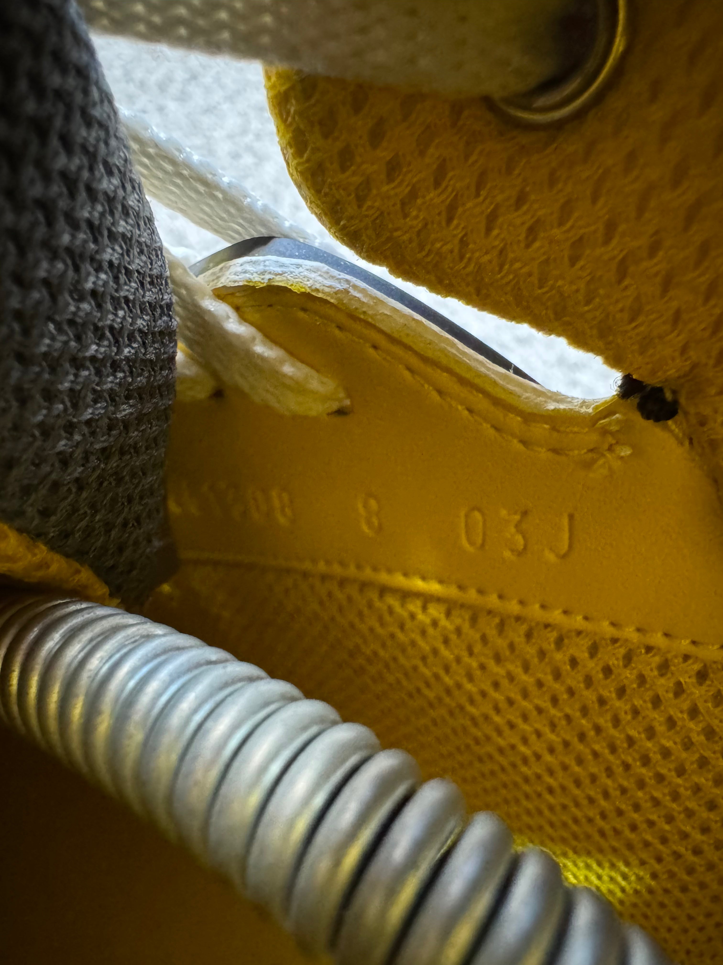 Gucci basket shoes